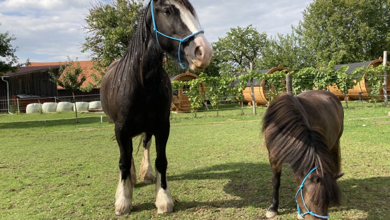 Alice und Lotta, © Andreas Artner Alice und Lotta, © Andreas Artner