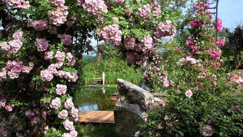 Cottage Garten Fam. Ungersböck, © "Natur im Garten" Alexander Haiden Ein idyllischer Garten mit rosa blühenden Rosenbüschen, einem Teich und einer Holzbank im Hintergrund.
