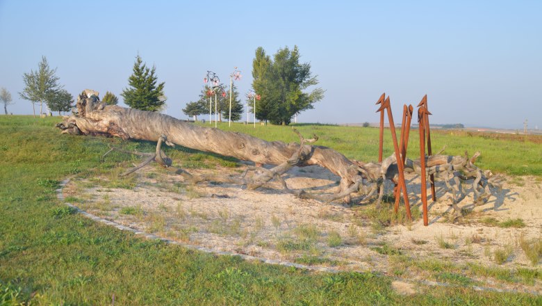 Baumkreis Veltlinerland, © StadtGemeinde Mistelbach / Mag. Mark Schönmann Ein großer, umgestürzter Baumstamm liegt auf einer Wiese, umgeben von Metallskulpturen und Bäumen im Hintergrund.