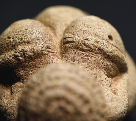 Venus von Willendorf, © Naturhistorisches Museum wien www.nhm-wien.ac.at