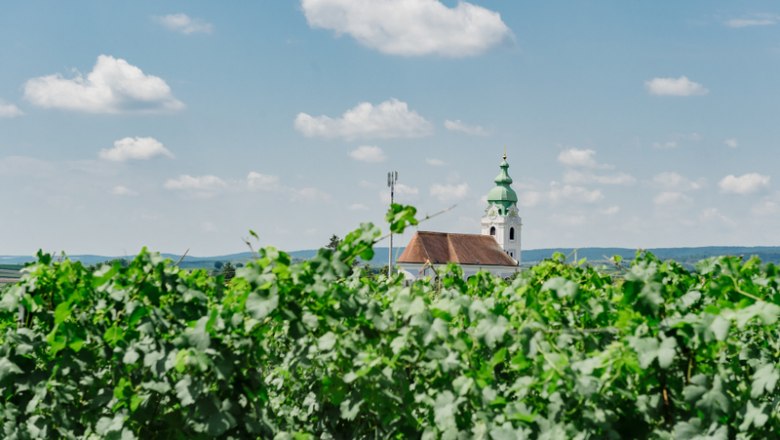 Blick auf Unterretzbach, © Leonardo Ramirez Kirchturm hinter grünen Weinreben unter blauem Himmel mit Wolken.