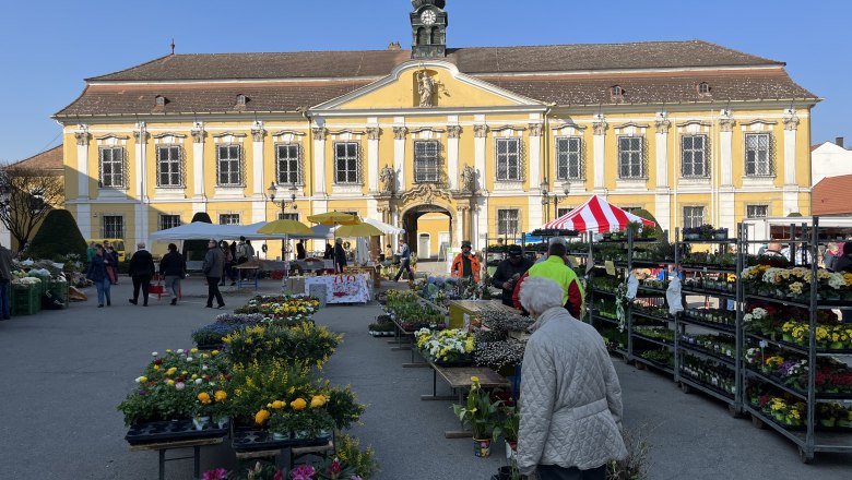 Wochenmarkt Stockerau, © Johannes Ehn Wochenmarkt in Stockerau mit Blumenständen vor einem gelben Barockgebäude.