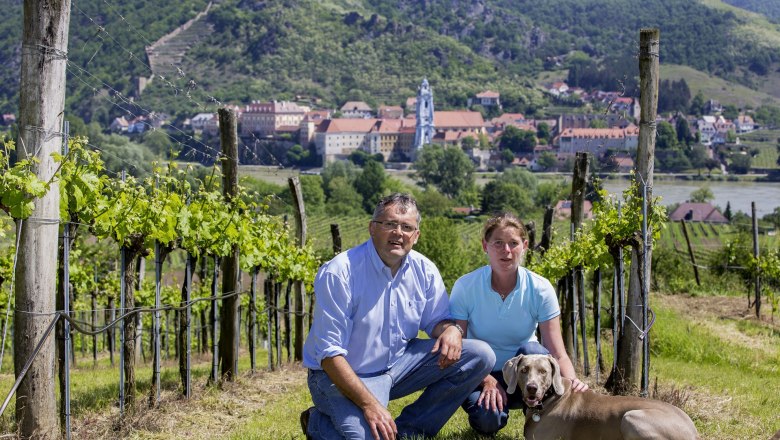 Weingut-Sigl, © Familie Sigl Weingut-Sigl, © Familie Sigl