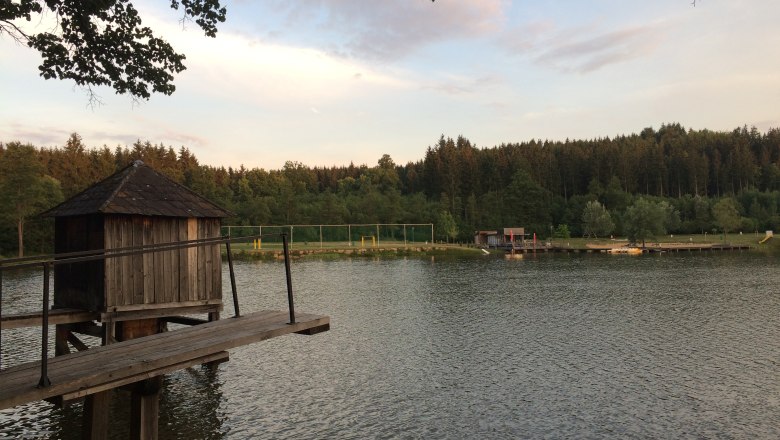 © Liza Winkler © Liza Winkler