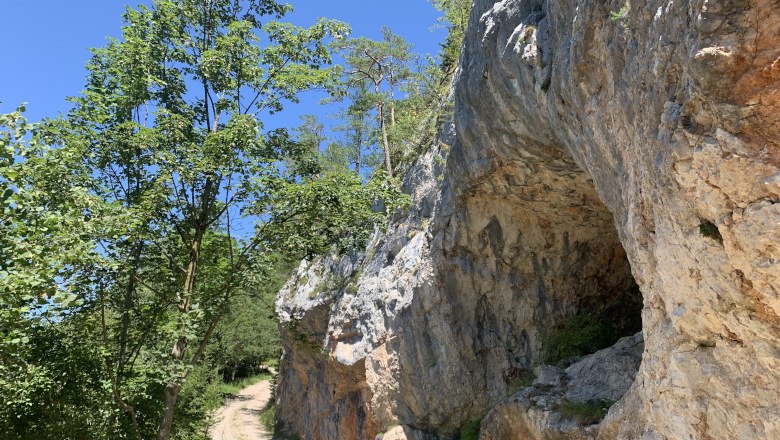 Naturpark Falkenstein, © Tourismusverband Semmering-Rax-Schneeberg Ein Wanderweg im Naturpark Falkenstein führt an einer Felswand mit Höhle vorbei, umgeben von Bäumen und blauem Himmel.