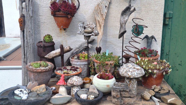 020db5d9-619c-4d43-881a-4e6ed982fb1a_farbe, © Familie Mahr Verschiedene Sukkulenten und dekorative Steine auf einem Holztisch arrangiert.