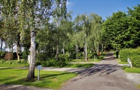 Campingplatz bei der Sole Felsen Welt, © Sole Felsen Welt Ein Weg führt durch einen grünen Park mit Birken und anderen Bäumen unter blauem Himmel.