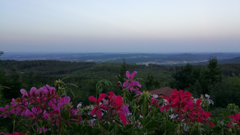 Ausblick Nebelsteinhütte, © Karin Hruska Ausblick Nebelsteinhütte, © Karin Hruska