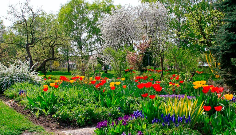 _mg_4971-urb-dorfangerfruehling-27042013__c_angergaerten_unterretzbach, © Gemeinde Retzbach Ein blühender Frühlingsgarten mit bunten Tulpen und blühenden Bäumen.