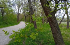 Harrachpark, © Donau Niederösterreich, Franziska Köck Weg durch die Parkanlage