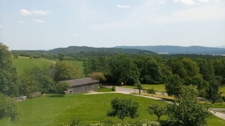 Ausblick FW "Panoramablick", © Blumentalhof Landschaft mit Wiese, Bäumen und einem kleinen Gebäude unter blauem Himmel.