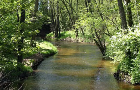 Angeln - Lainsitz - Revier II/1, © Stadtgemeinde Gmünd Angeln - Lainsitz - Revier II/1, © Stadtgemeinde Gmünd