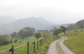 am Weg nach Rehgras, © Wienerwald am Weg nach Rehgras, © Wienerwald