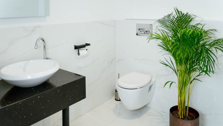 Hotel Lamede, © Hotel Lamede Modernes Badezimmer mit Waschbecken, Toilette und Pflanze.