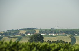 Kellergasse "Alte Geringen", © Michael Himml Landschaft mit Weinbergen, Kellergasse und Windrädern im Hintergrund.