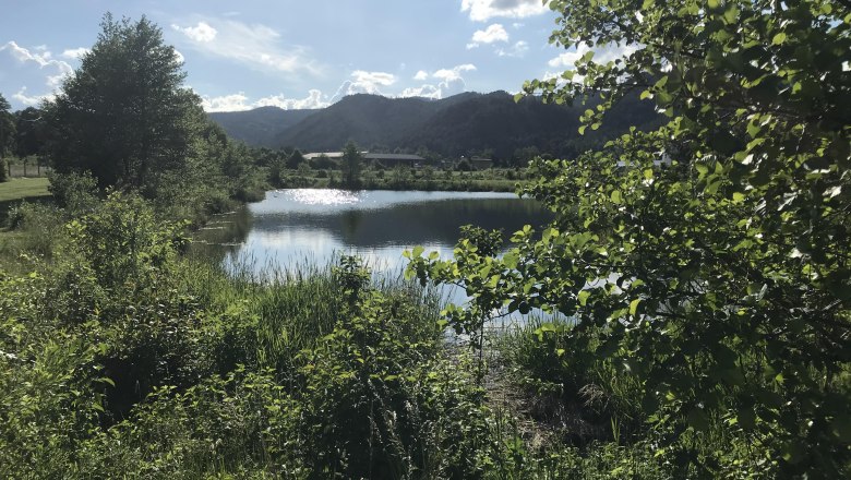 Kohlhofmühl Camping, © Oliver Berger Ein kleiner See umgeben von Bäumen und Bergen im Hintergrund bei sonnigem Wetter.