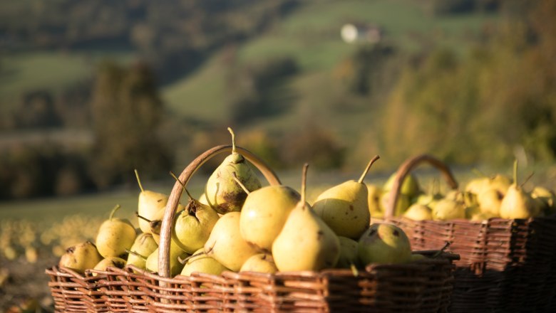 Erne im Mostviertel, © schwarz-koenig.at Erne im Mostviertel, © schwarz-koenig.at