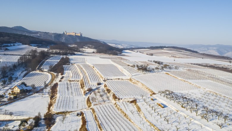 Winter im Naturgartenurlaub in Steffis Ferienwohnungen, © Robert Herbst Winter im Naturgartenurlaub in Steffis Ferienwohnungen, © Robert Herbst