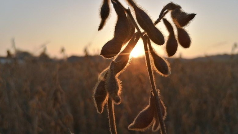 Ackerbau, © Bauernhof Etlinger Ackerbau, © Bauernhof Etlinger