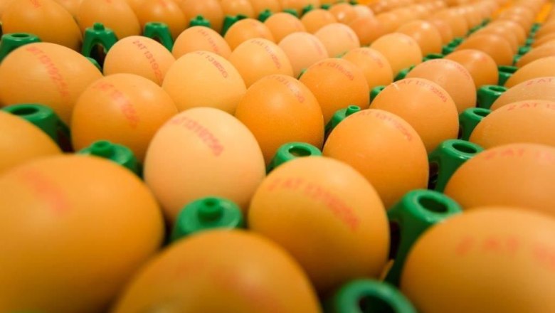 Eier vom Hof, © Familie List Nahaufnahme von vielen Eiern in grünen Halterungen, mit roten Aufdrucken.