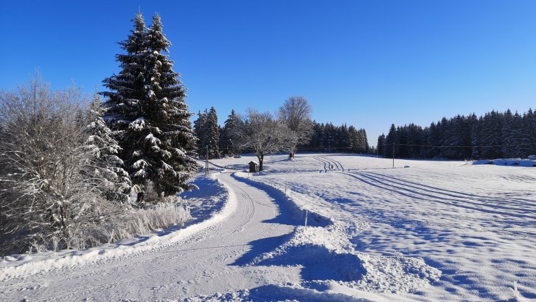 Zufahrt und Loipe, © Friedlhof Zufahrt und Loipe, © Friedlhof
