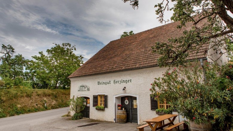 Weingut Herzinger, © schwarz-koenig.at Weingut Herzinger, © schwarz-koenig.at