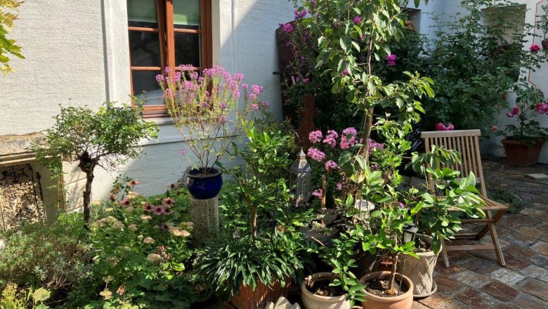 garten-am-renaissancehof-kerschner, © Mostviertel Tourismus, Eva Stern garten-am-renaissancehof-kerschner, © Mostviertel Tourismus, Eva Stern