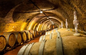Fasskeller, © Weingut Liechtenstein Ein Weinkeller mit vielen Holzfässern in einem gewölbten, beleuchteten Raum.