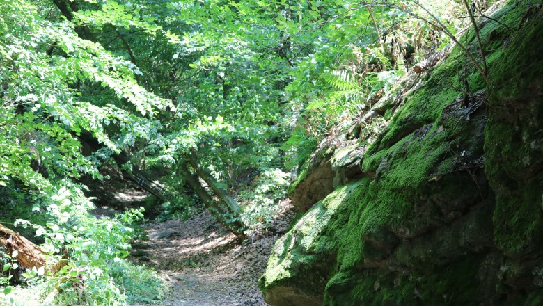 Wanderwege, © Gästezimmer Rolea Wanderwege, © Gästezimmer Rolea