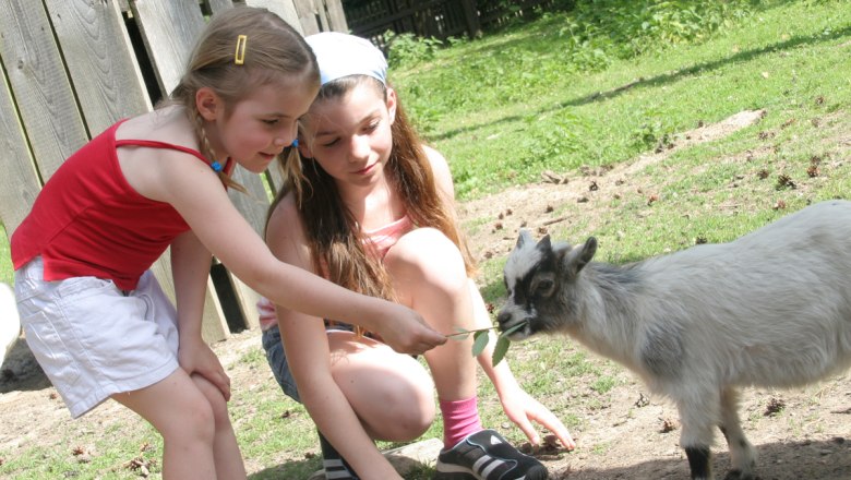 Naturpark Geras, © Naturpark Geras Naturpark Geras, © Naturpark Geras