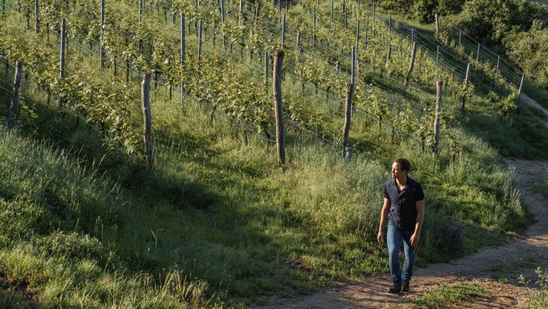 Weingut Allram, © Hasselblad X1D Weingut Allram, © Hasselblad X1D