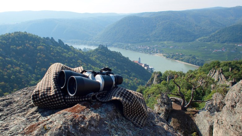 Pfeffel_Wandern_Vogelbergsteig, © c-photographypfeffelat Pfeffel_Wandern_Vogelbergsteig, © c-photographypfeffelat