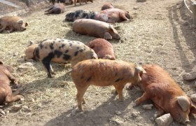 Binder Bio, © Binder Bio Binder Bio, © Binder Bio