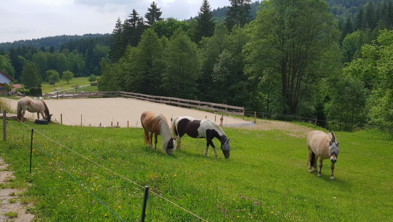 Kjelli´s Reiterhof, © Kjelli´s Reiterhof Kjelli´s Reiterhof, © Kjelli´s Reiterhof