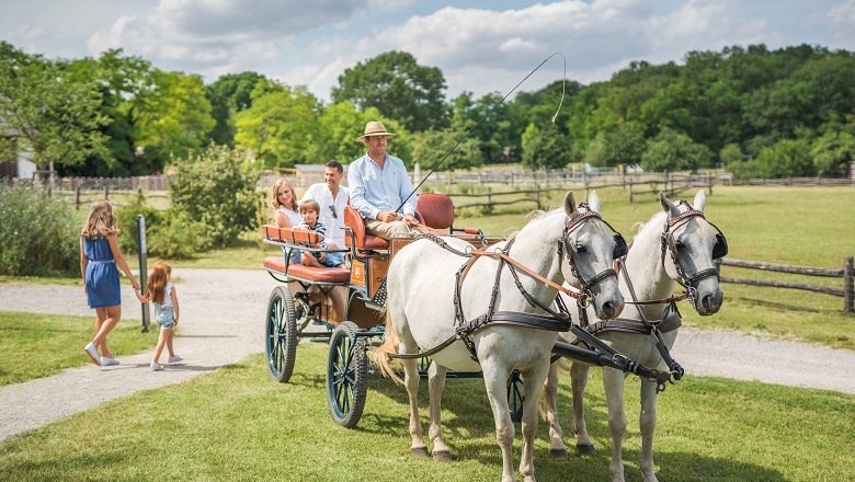 schloss-hof-kutsche-0010_klein_-schloss-schoenbrunn-kultur-und-betriebsgesmbh-severin-wurnig_web, © Schloß Schönbrunn Kultur- und Betriebsges.m.b.H./Severin Wurnig Pferdekutsche mit Passagieren auf einer Wiese, zwei weiße Pferde ziehen die Kutsche.