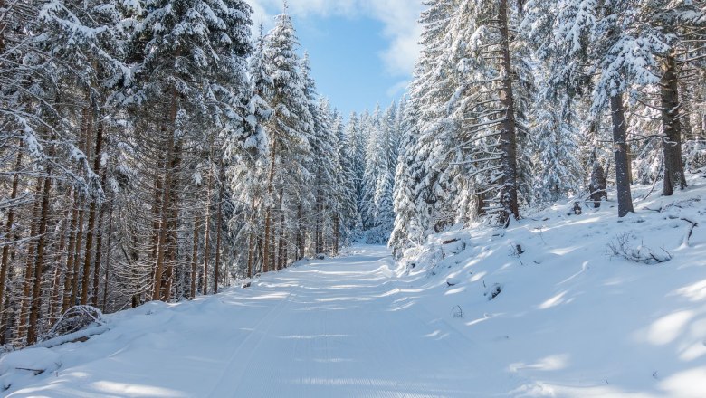 Wechsel-Panoramaloipe, © Familie Morgenbesser Verschneite Waldlandschaft mit einer Langlaufloipe in der Mitte.