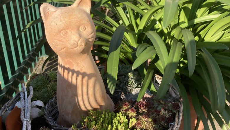 img_0346, © Frühstückspension Gerstbauer img_0346, © Frühstückspension Gerstbauer