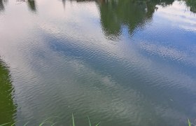 Landschaftsteich, © Leopold Schöfbeck Landschaftsteich, © Leopold Schöfbeck