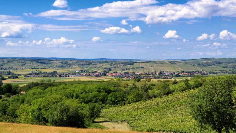 Sicht auf Alberndorf, © Gemeinde Alberndorf Landschaft mit grünen Feldern und einem Dorf im Hintergrund unter blauem Himmel.