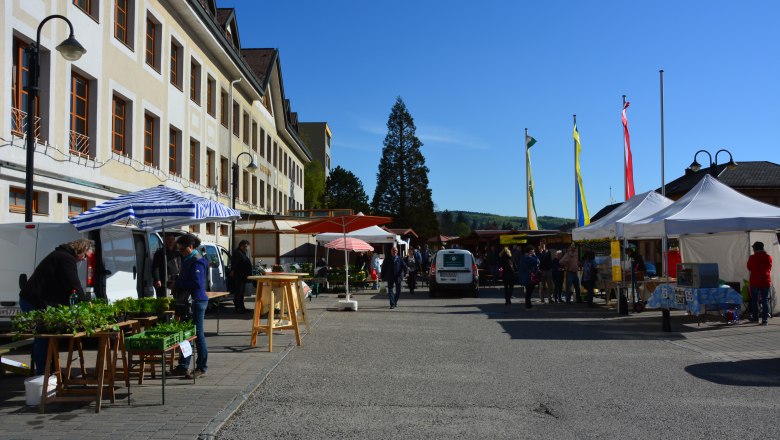 Bio Bauernmarkt am Rathausplatz, © Stadtgemeinde Pressbaum Ein Bio-Bauernmarkt auf einem Platz mit Ständen, Menschen und einem großen Gebäude im Hintergrund.