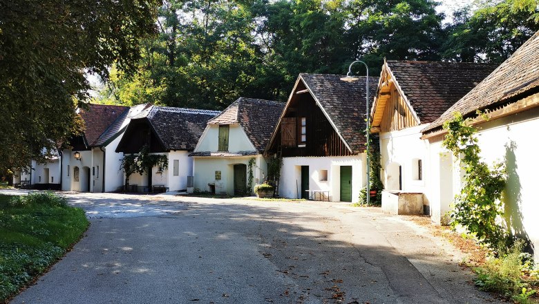 Besondere Kellergasse am Peregriniplatzl, © Weinstraße Weinviertel Eine malerische Kellergasse mit traditionellen Gebäuden und Bäumen im Hintergrund.