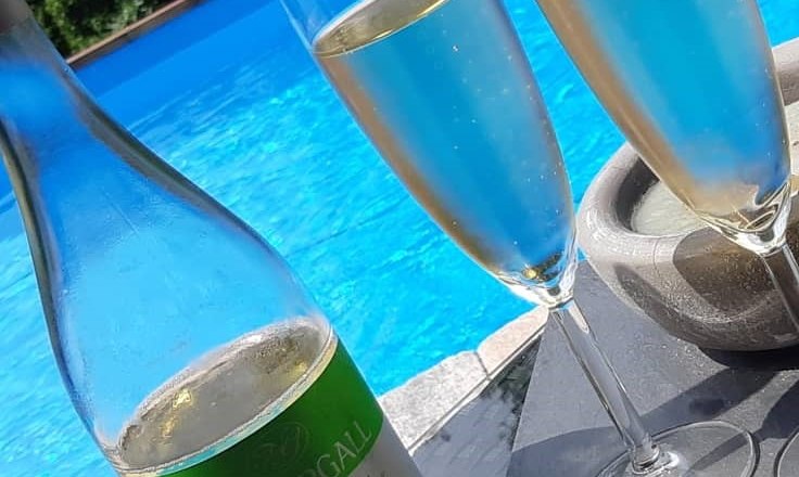 Weinbau Niefergall Wolfsthal, Muskateller Frizzante, © Weinbau Niefergall Weinbau Niefergall Wolfsthal, Muskateller Frizzante, Flasche und 2 Gläser