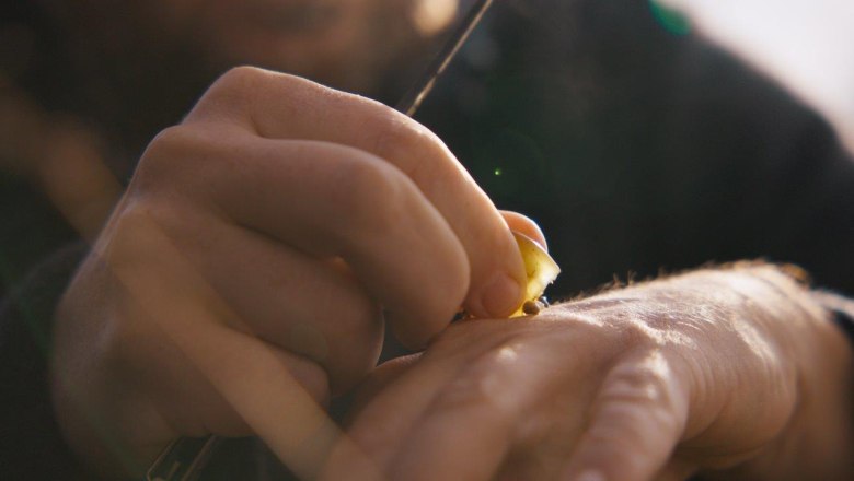 Im Weingarten, © Winzer Mike Nährer Im Weingarten, © Winzer Mike Nährer