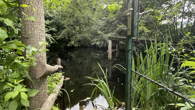 Privater Naturschwimmteich oberhalb der Ferienwohnung, © 1000Krauthof Privater Naturschwimmteich oberhalb der Ferienwohnung, © 1000Krauthof