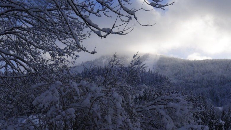 Ausblick auf die Piste kl. Ötscher, © Familie Prem Ausblick auf die Piste kl. Ötscher, © Familie Prem