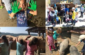 Tiererlebnis, © Verein Naturhelden Tiererlebnis, © Verein Naturhelden