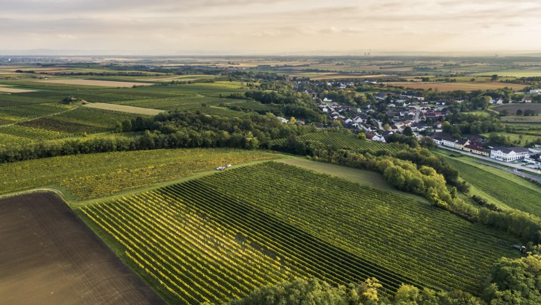 Oberstockstall, © Robert Herbst Oberstockstall - Schlossberg