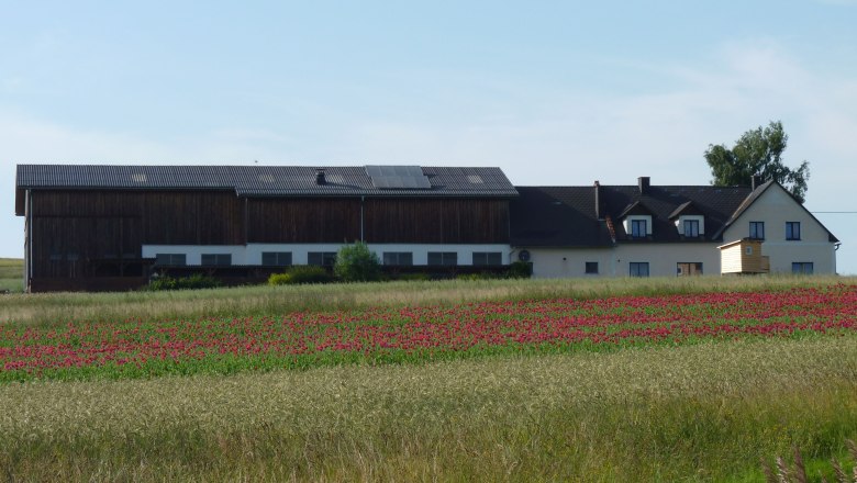 Wiehalmhof, © Tichy Ein Bauernhof mit einem großen Gebäude und einem Feld mit roten Blumen im Vordergrund.