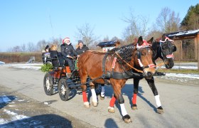 Weihnachtliche Kutschenfahrt, © RMH Eine weihnachtlich geschmückte Pferdekutsche mit Menschen in Winterkleidung auf einer Straße.