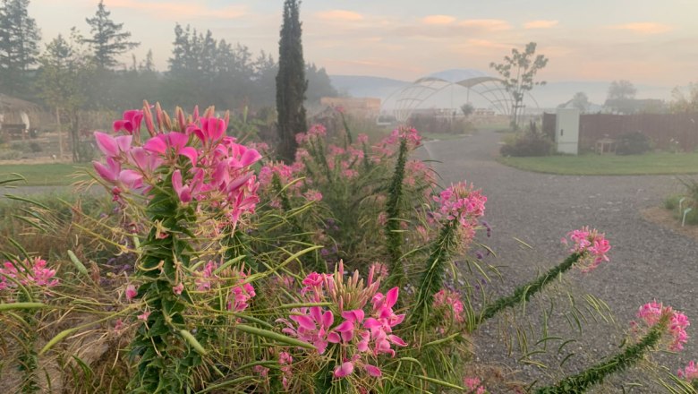 Entlang des Weges, © Oberleitner Gartenkultur Entlang des Weges, © Oberleitner Gartenkultur